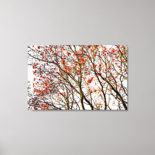 Red rowan fruits or ash berries canvas print