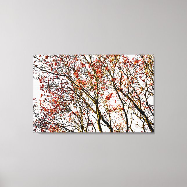 Red rowan fruits or ash berries canvas print (Front)