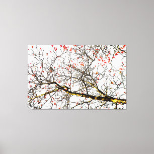 Red rowan fruits or ash berries canvas print