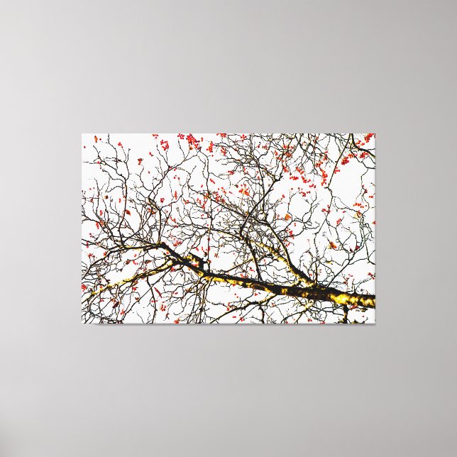 Red rowan fruits or ash berries canvas print (Front)