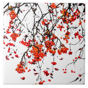 Red rowan fruits or ash berries tile
