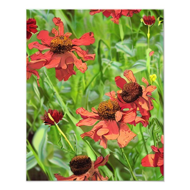 RED RUDBECKIA FLOWERS PHOTO PRINT (Front)