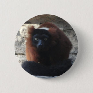 Red Ruffed Lemur 2 Inch Round Button