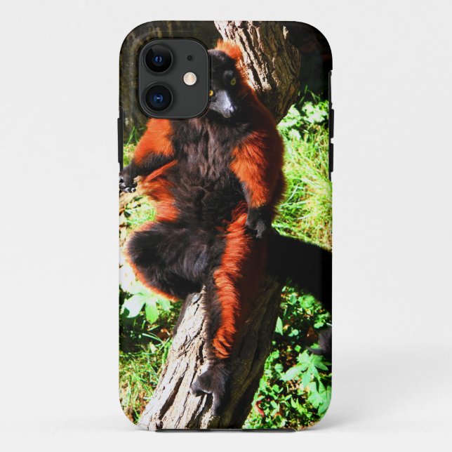Red Ruffed Lemur Case-Mate iPhone Case (Back)
