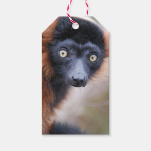 Red Ruffed Lemur Gift Tags