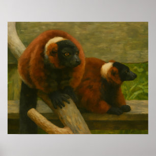 Red Ruffed Lemurs in Woodland Light Poster
