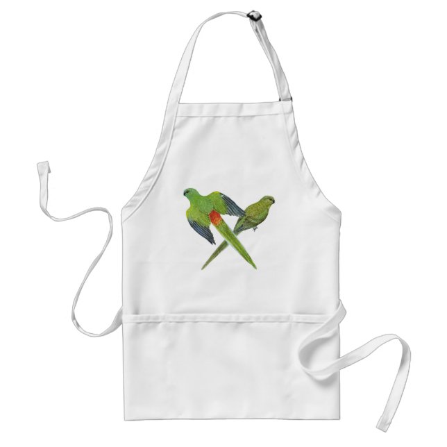 Red-rumped Parrot Pair - Psephotus haematonotus Standard Apron (Front)