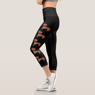 Red Sable Smooth Hair Dachshund Dogs On Black Capri Leggings