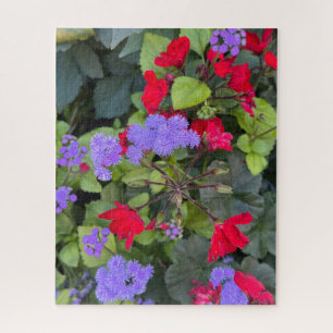  Red Salvia and Purple Ageratum, Quebec City  Jigsaw Puzzle
