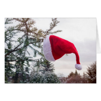 Red Santa cap on the fir