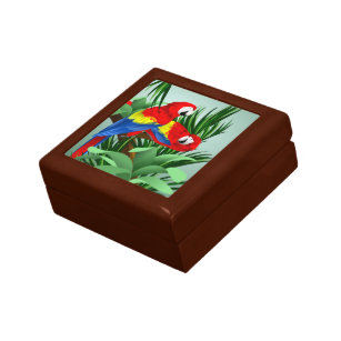 Red Scarlet Macaw Gift Box