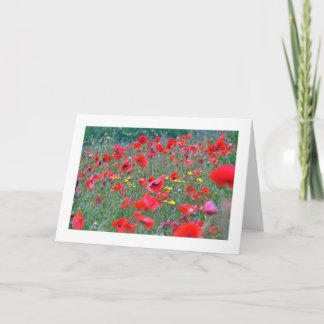 Red Scottish Poppies Card