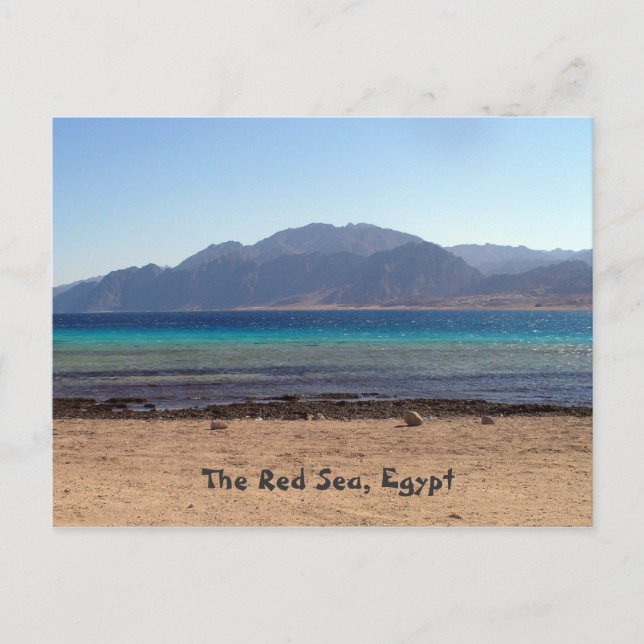 Red Sea Laguna Postcard (Front)