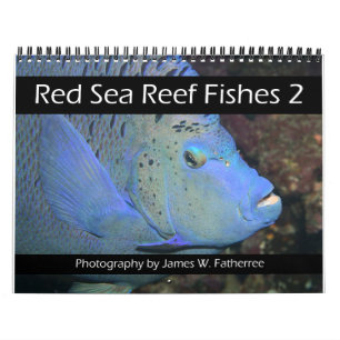Red Sea Reef Fishes 2 Calendar