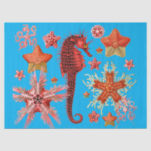 RED SEAHORSE AND SEASTARS IN AQUA BLUE Sea Life Tissue Paper