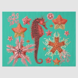 RED SEAHORSE AND SEASTARS IN AQUA BLUE Sea Life Tissue Paper