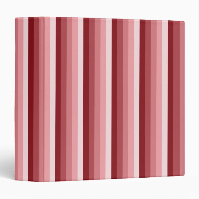 Red shadow stripes binder (Front/Spine)