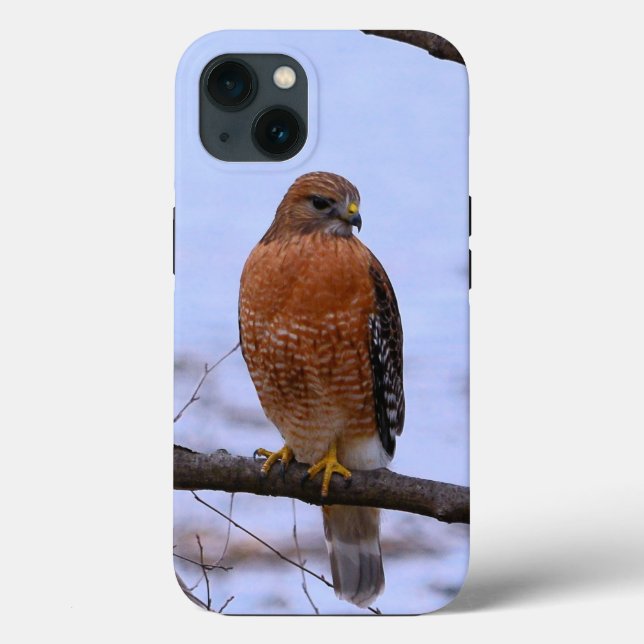 Red-shoulderd hawk iPhone 13 Case (Back)