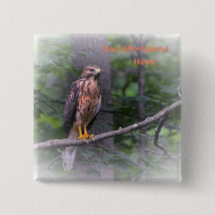 Red Shouldered Hawk 2 Inch Square Button