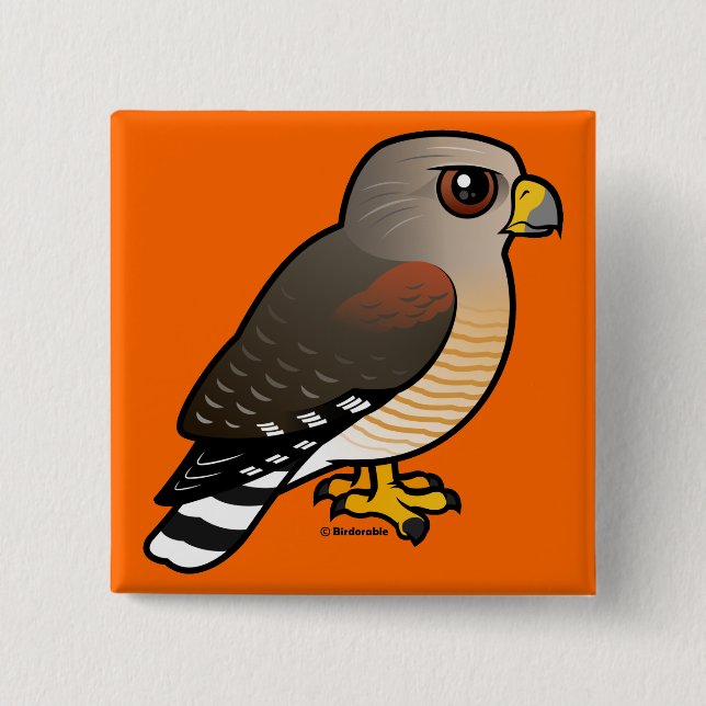 Red-shouldered Hawk 2 Inch Square Button (Front)