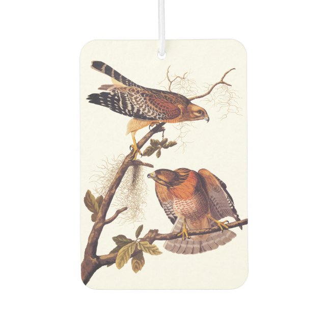 Red Shouldered Hawk Audubon Bird of Prey Air Freshener (Front)