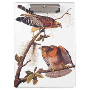 Red Shouldered Hawk Audubon Bird of Prey Clipboard