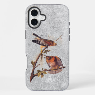 Red Shouldered Hawk Audubon Bird of Prey iPhone 16 Plus Case