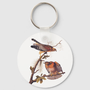 Red Shouldered Hawk Audubon Bird of Prey Keychain