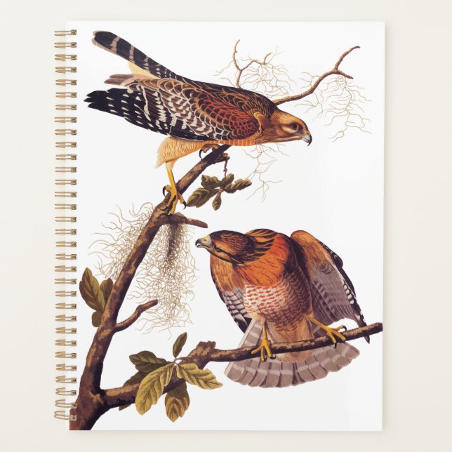 Red Shouldered Hawk Audubon Bird of Prey Planner (Front)