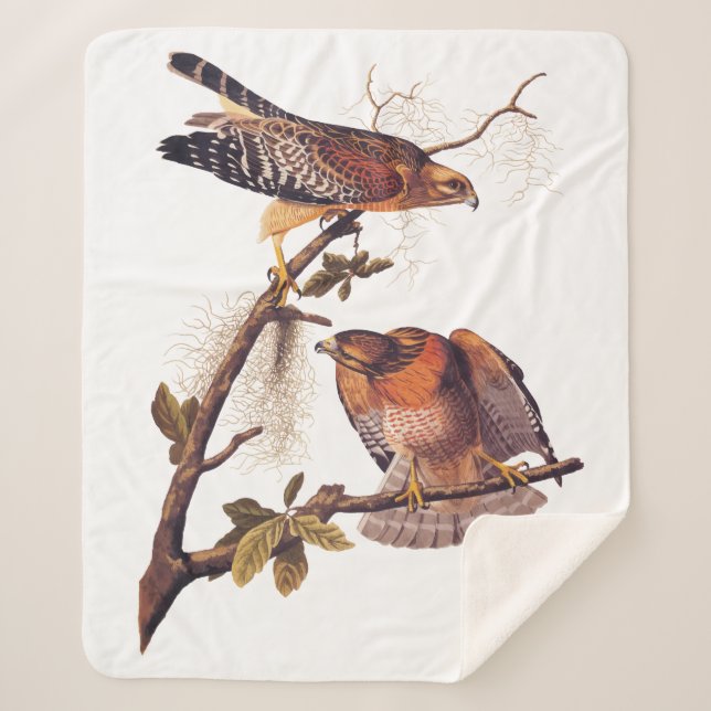 Red Shouldered Hawk Audubon Bird of Prey Sherpa Blanket (Front)