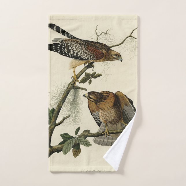 Red-shouldered Hawk - Audubon's Birds of America Bath Towel Set (Hand Towel)