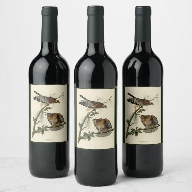 Red-shouldered Hawk - Audubon's Birds of America Wine Label (Bottles)