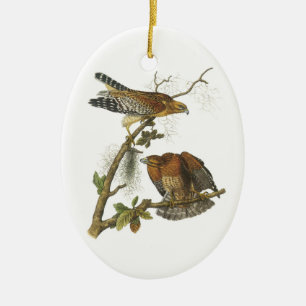 Red-shouldered Hawk by Audubon Ceramic Ornament