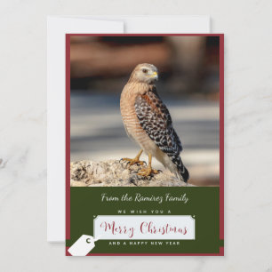 Red-Shouldered Hawk Christmas Card