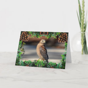 Red-Shouldered Hawk Christmas Card