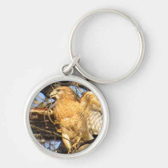 Red-shouldered Hawk Key Chain (Front)