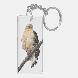 Red Shouldered Hawk Keychain