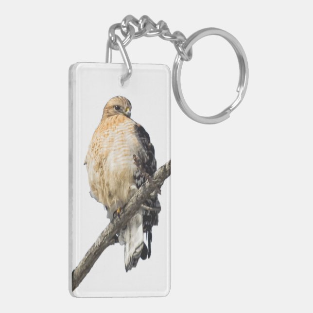 Red Shouldered Hawk Keychain (Back Left)