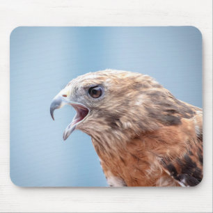 Red Shouldered Hawk Mouse Pad