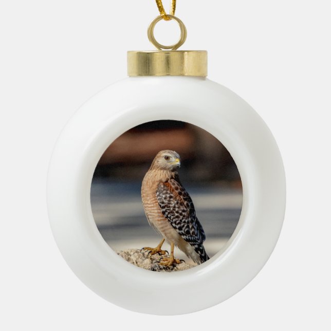 Red Shouldered Hawk on a rock Ceramic Ball Christmas Ornament (Front)