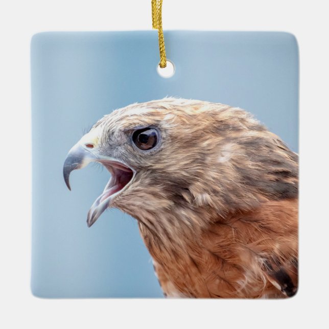Red Shouldered Hawk on a rock Ceramic Ornament (Front)