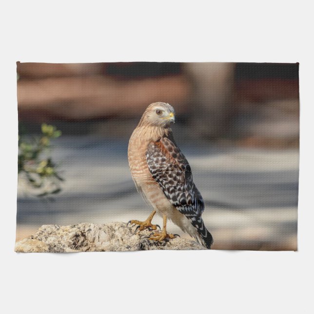 Red Shouldered Hawk on a rock Kitchen Towel (Horizontal)