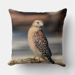 Red Shouldered Hawk on a rock Throw Pillow