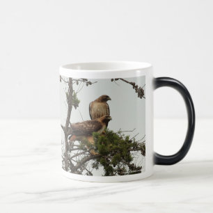 Red-shouldered Hawks Mug