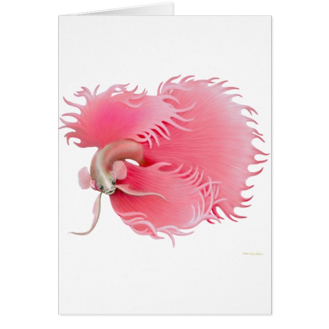Red Siamese Fighting Fish Card (Front)