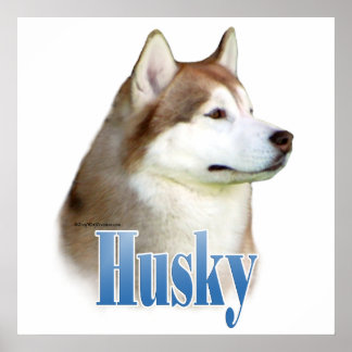 Red Siberian Husky Poster