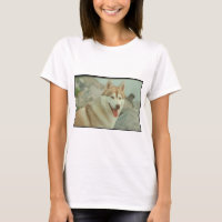 Red Siberian Husky