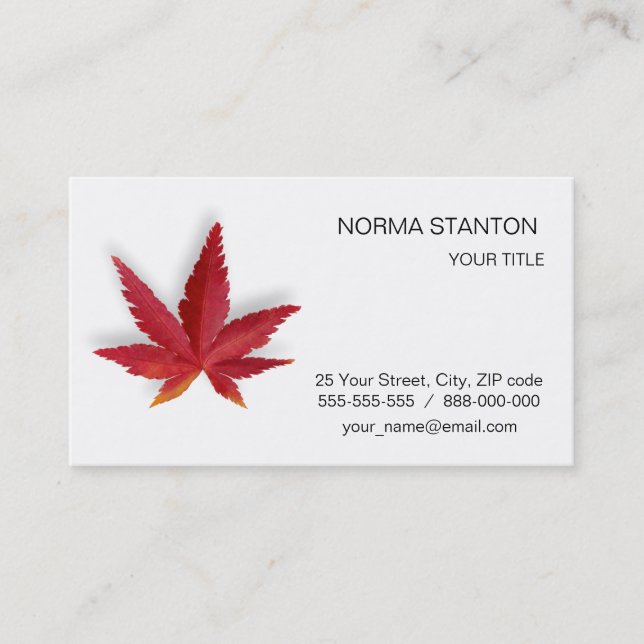 Red single autumn leaf business card (Front)