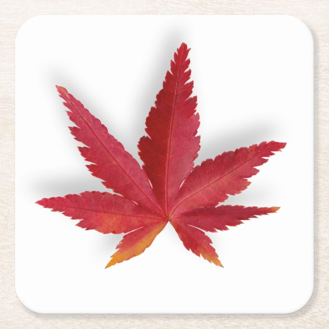 Red single autumn leaf square paper coaster (Front)