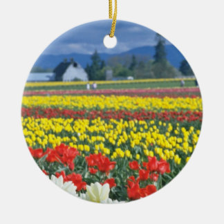 Red Skagit Valley, Mount Rainier, Washington, USA Ceramic Ornament